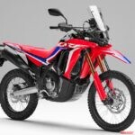 最新号は2月4日発売です!